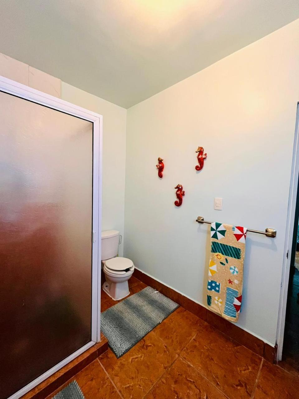 Exclusive! cozy star house Great price