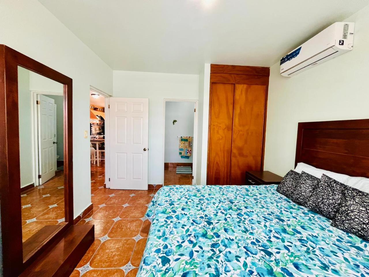 Exclusive! cozy star house Great price
