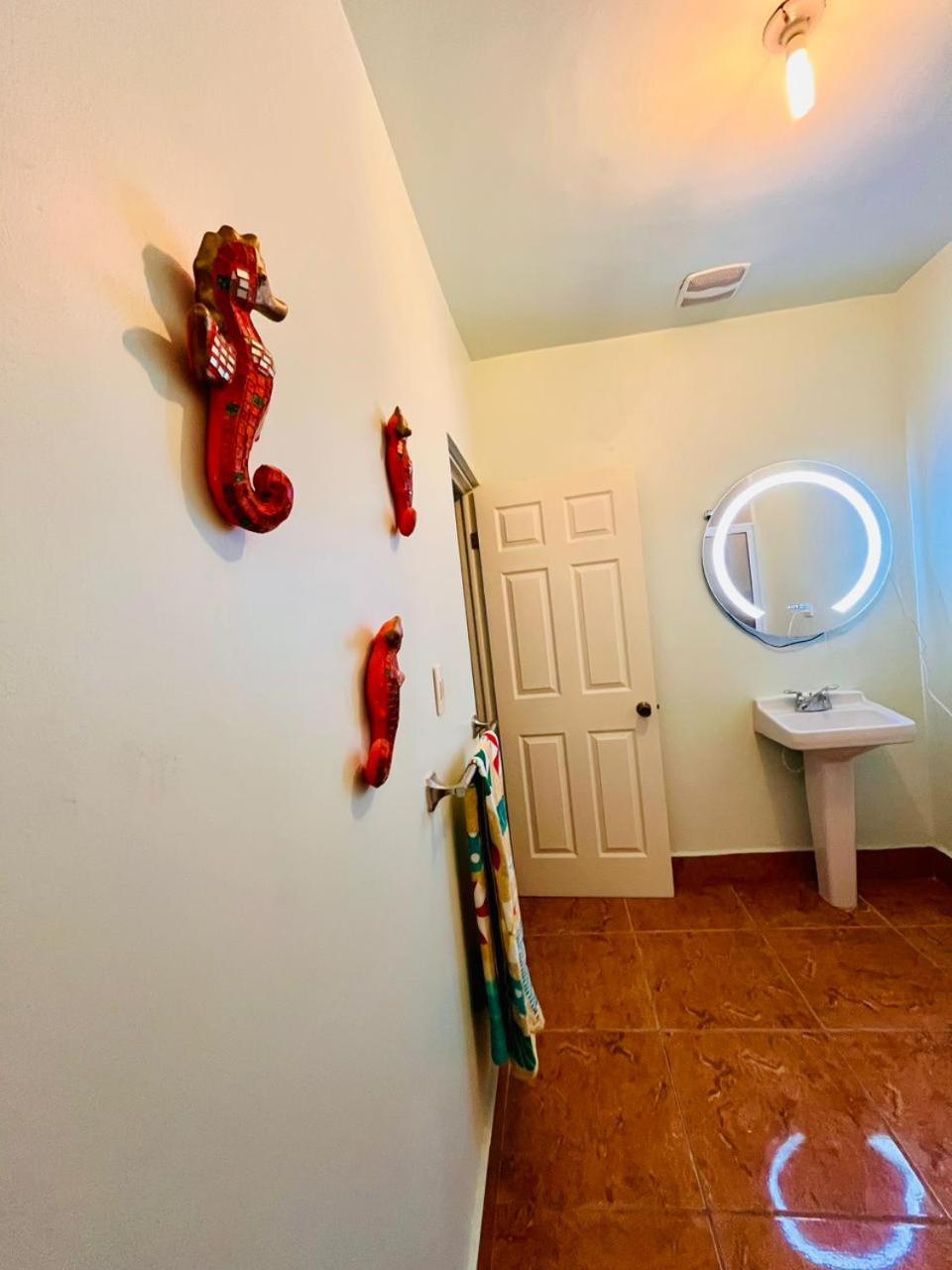 Exclusive! cozy star house Great price