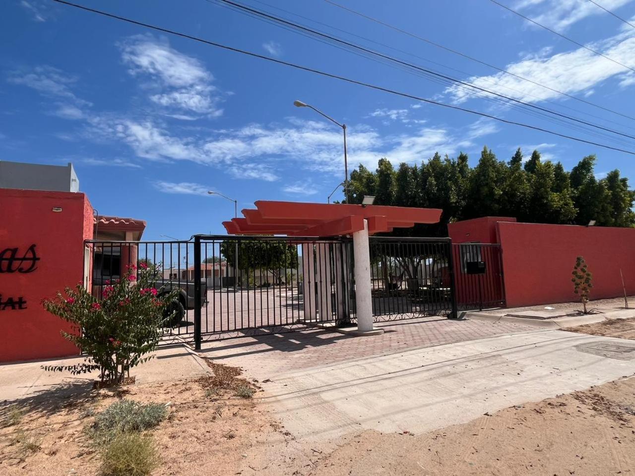 Exclusive! cozy star house Great price