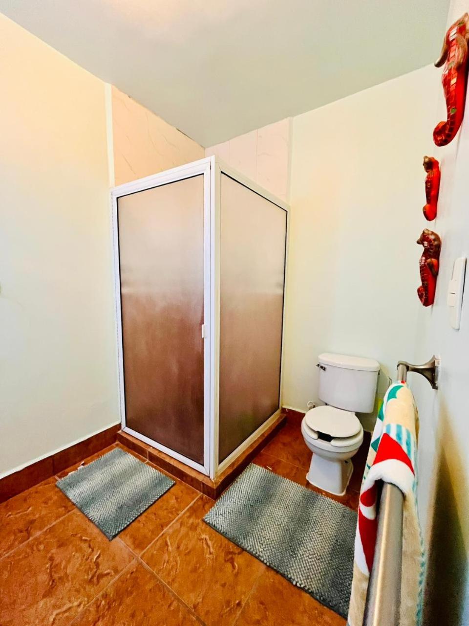 Exclusive! cozy star house Great price
