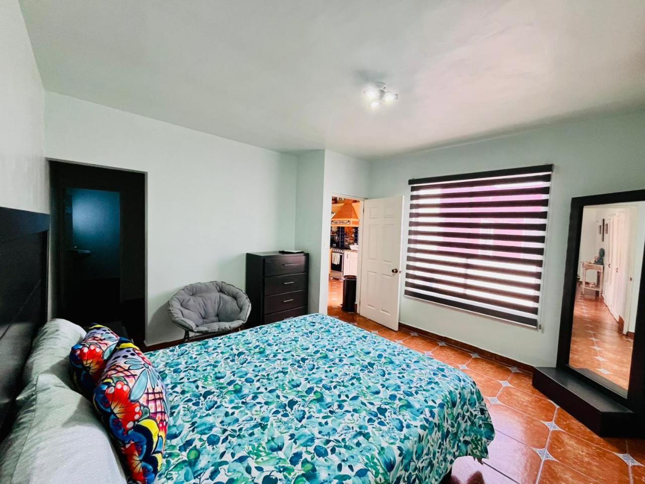 Exclusive! cozy star house Great price