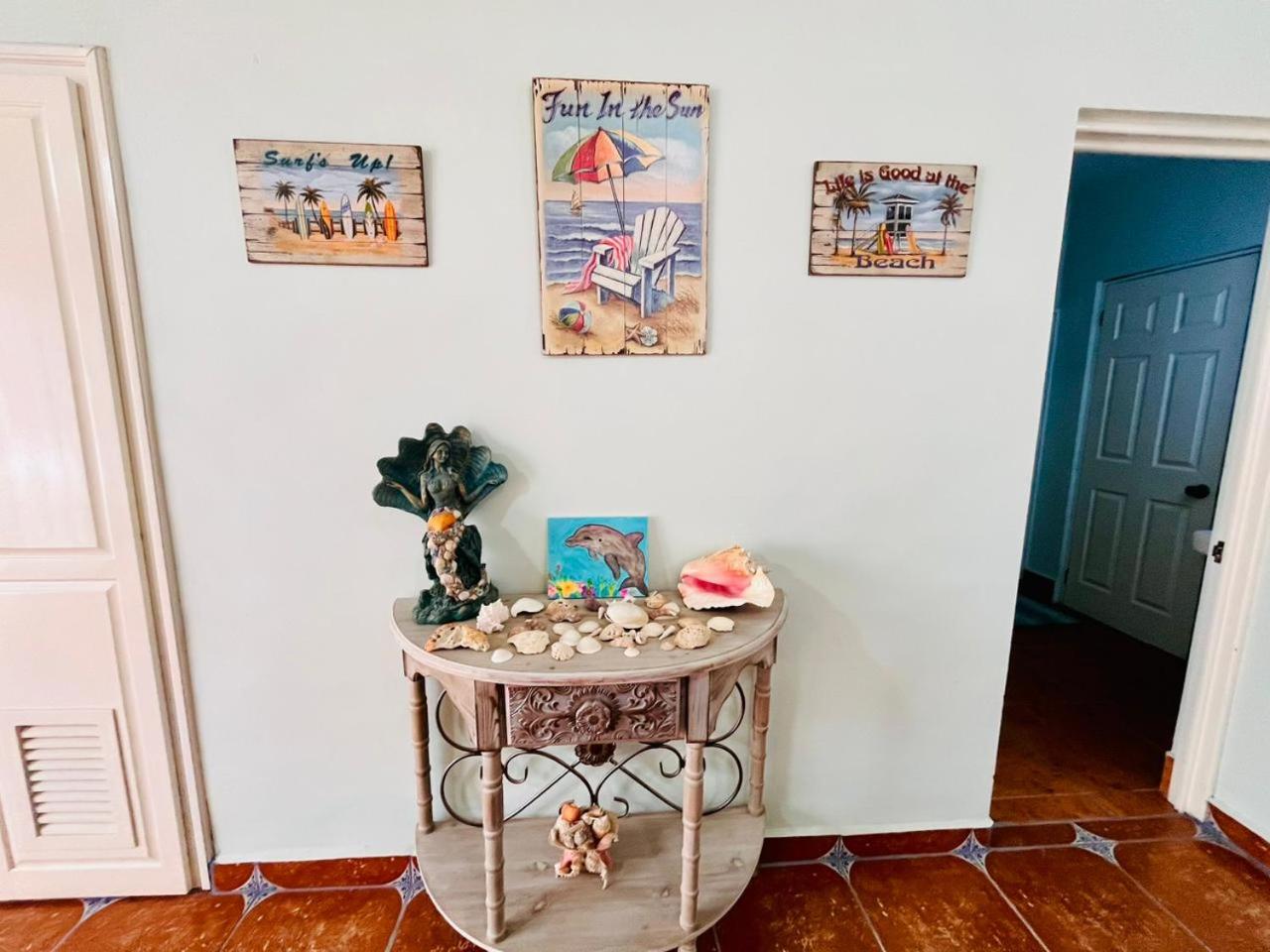 Exclusive! cozy star house Great price