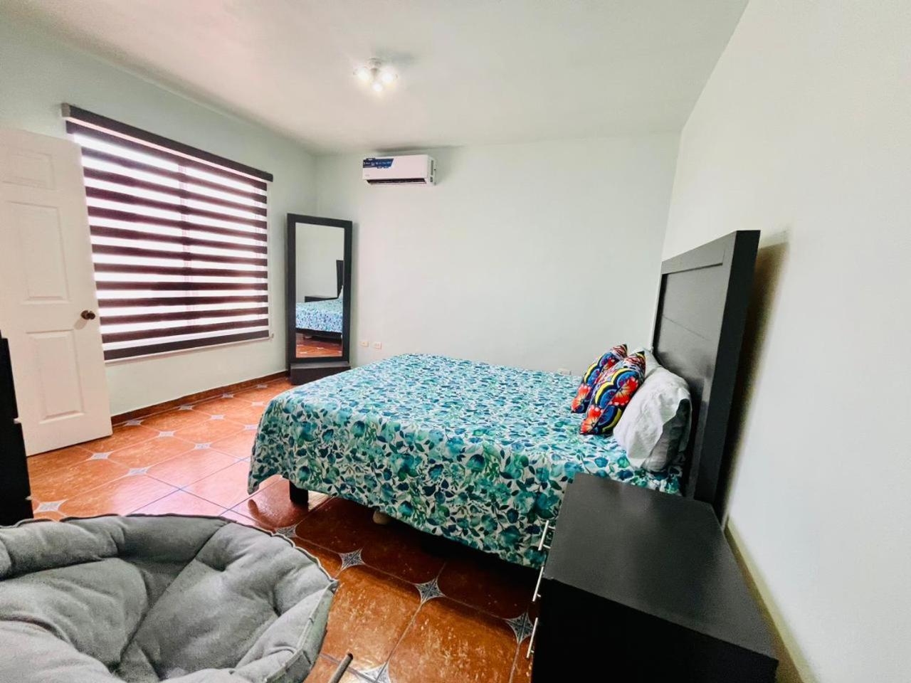 Exclusive! cozy star house Great price