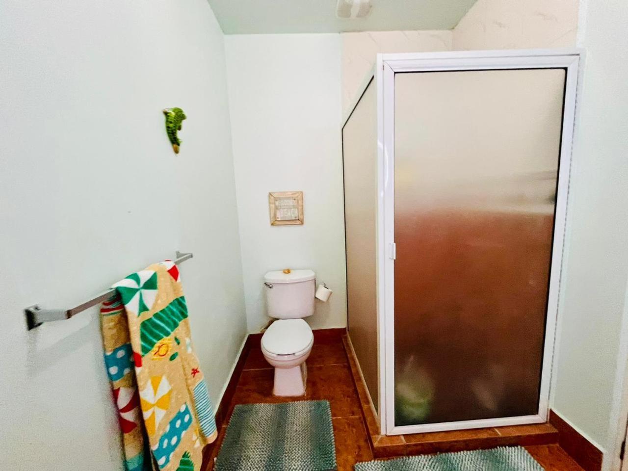Exclusive! cozy star house Great price
