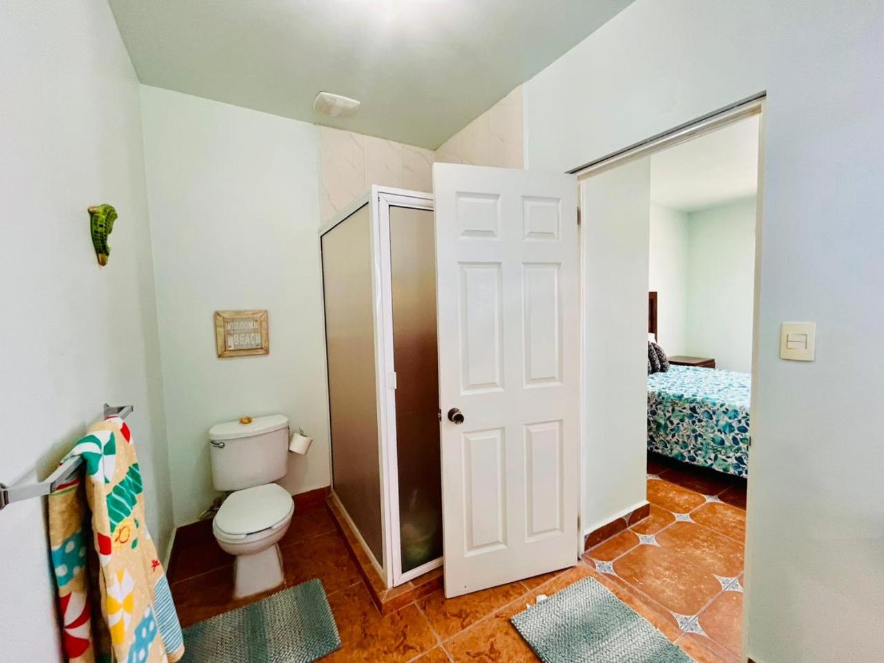 Exclusive! cozy star house Great price