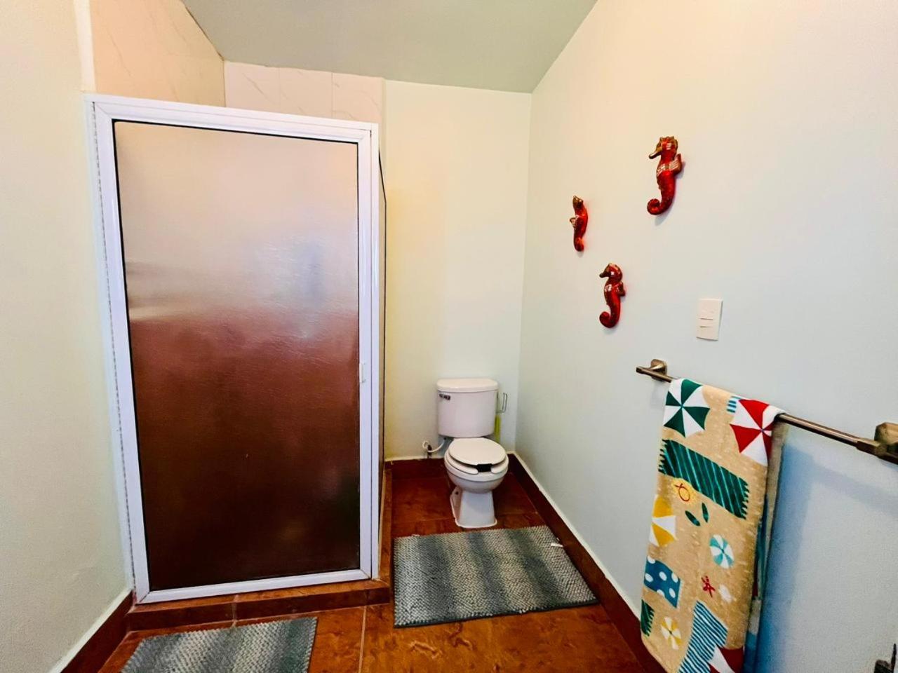 Exclusive! cozy star house Great price