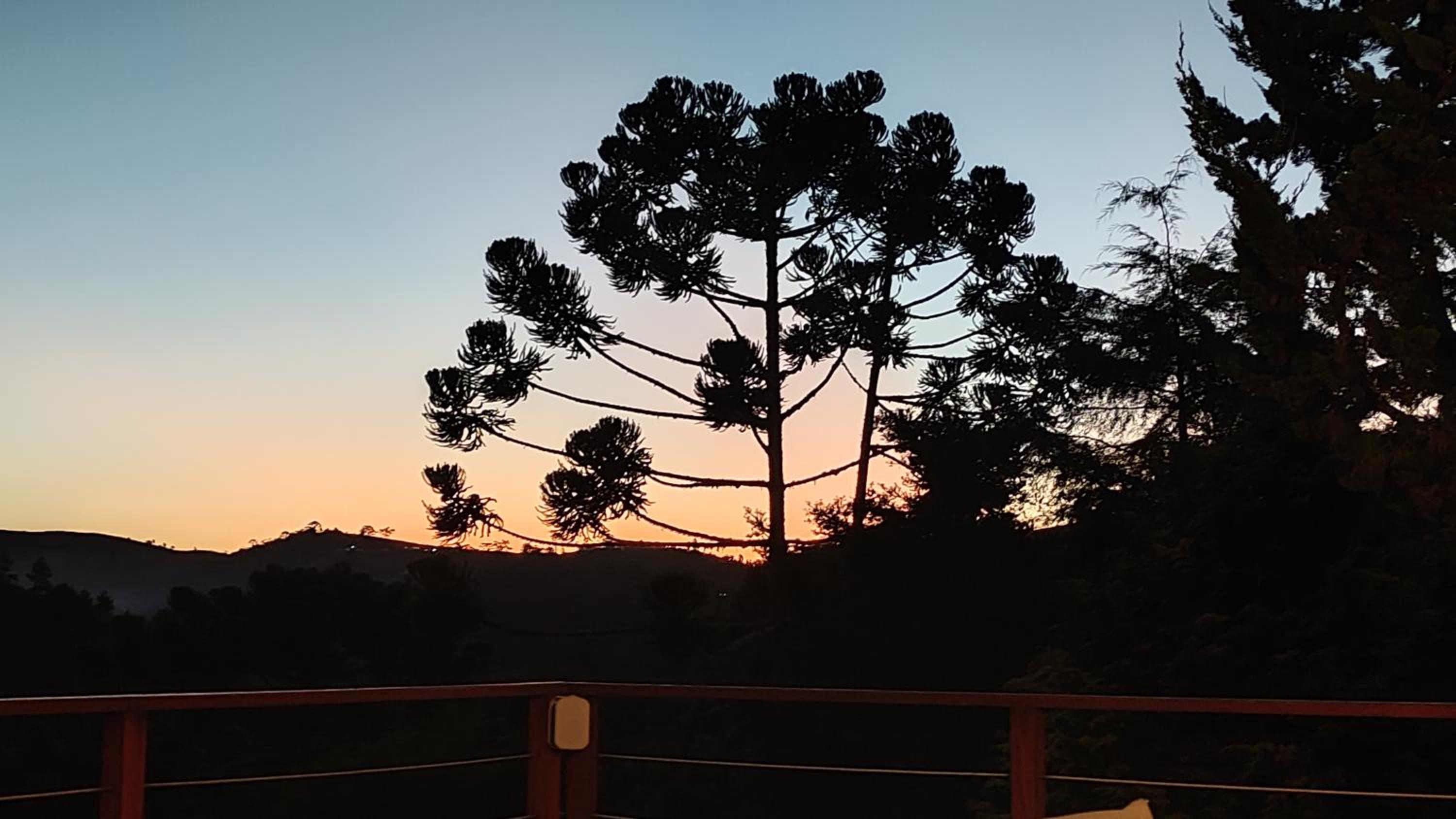 Campos Montanha Encantada