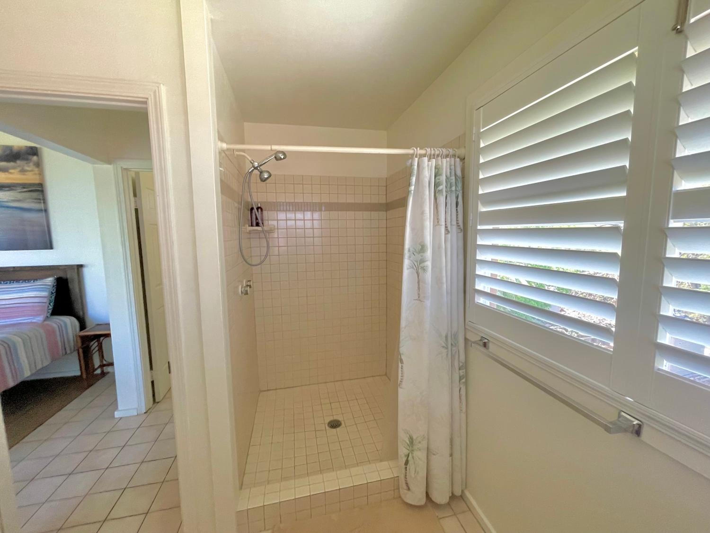 King Palm Ocean views King bed walk to beach Free WIFI parking BBQ view 3