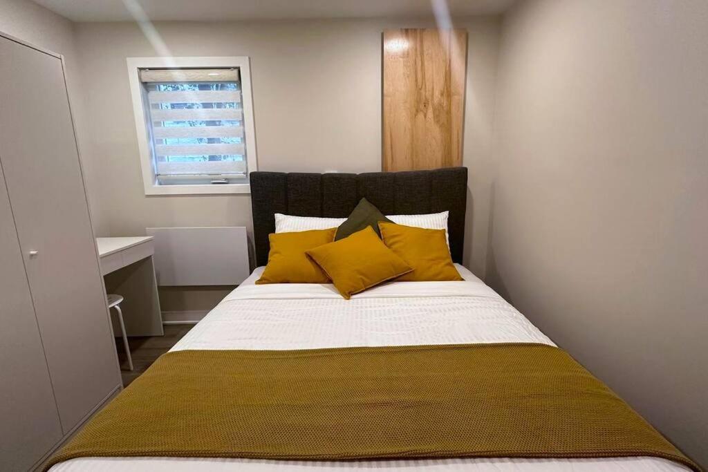 Cozy lovely walk-out registered Basement