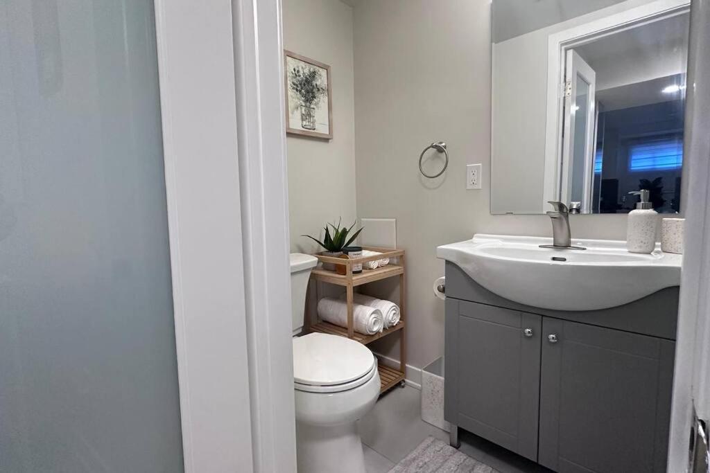 Cozy lovely walk-out registered Basement