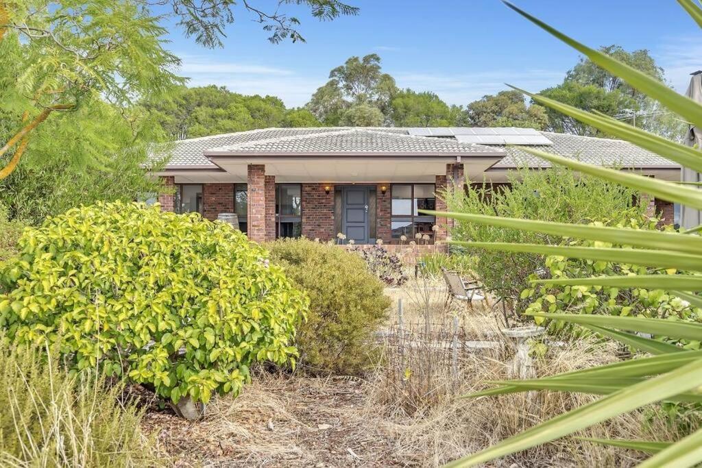 Hotel Luxury Vineyard Retreat