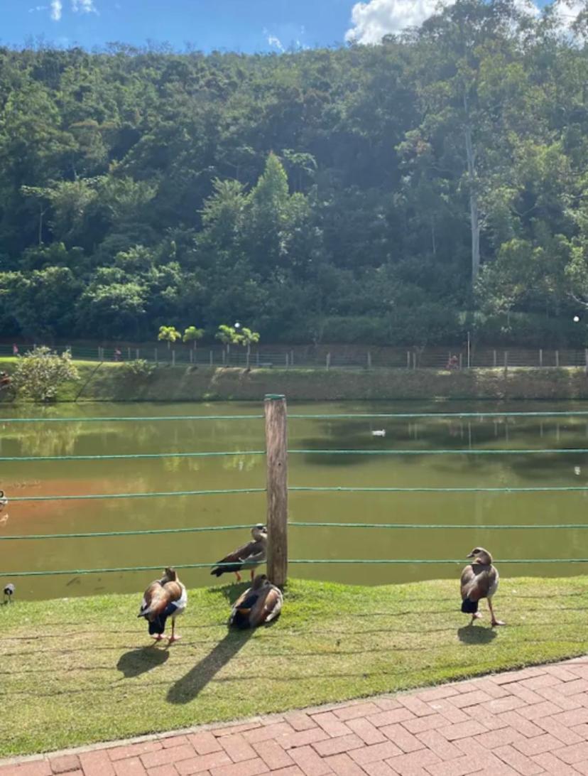 Apezinho na Serra