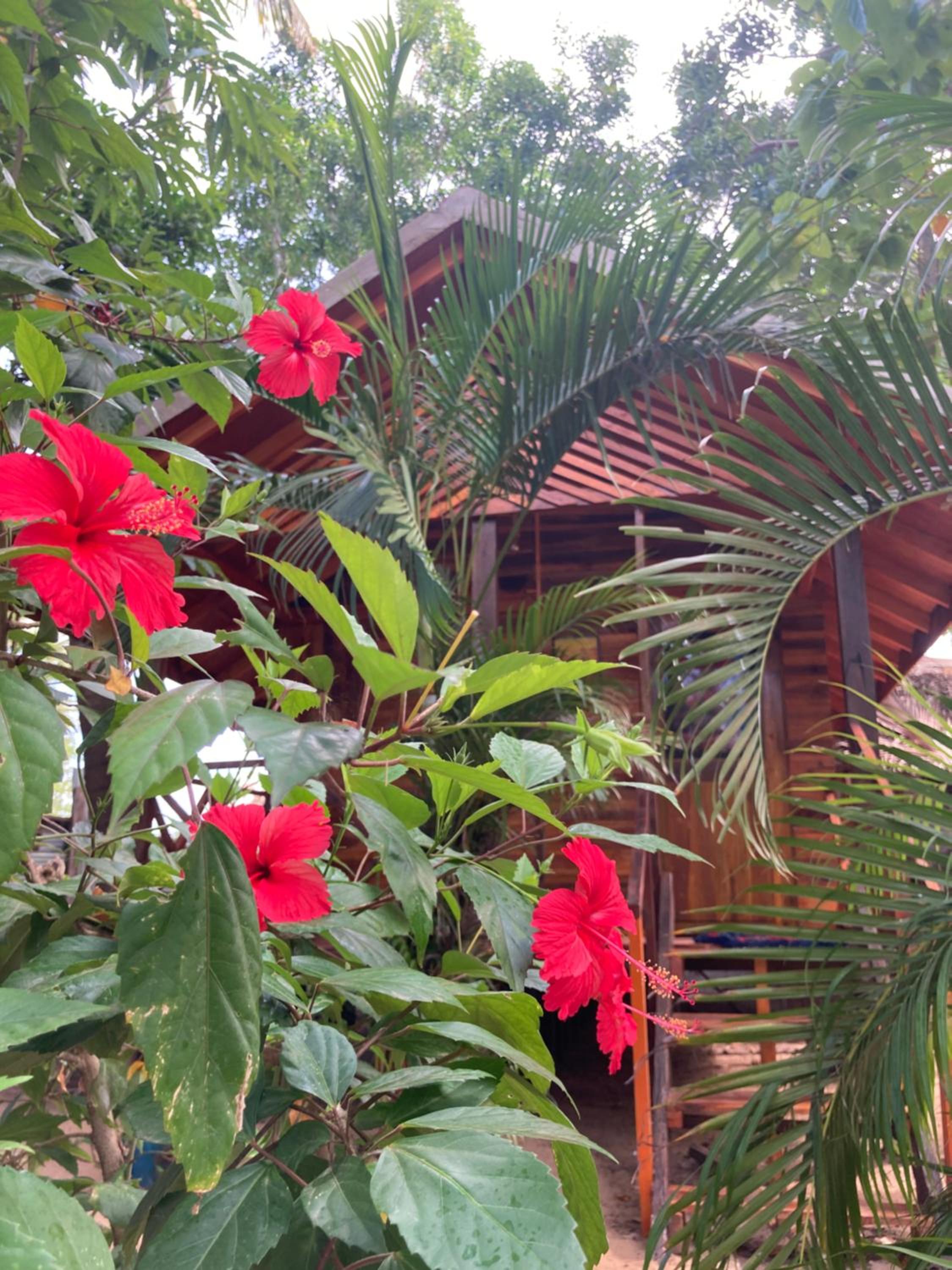 River Point Cabana at Arugambay view 2