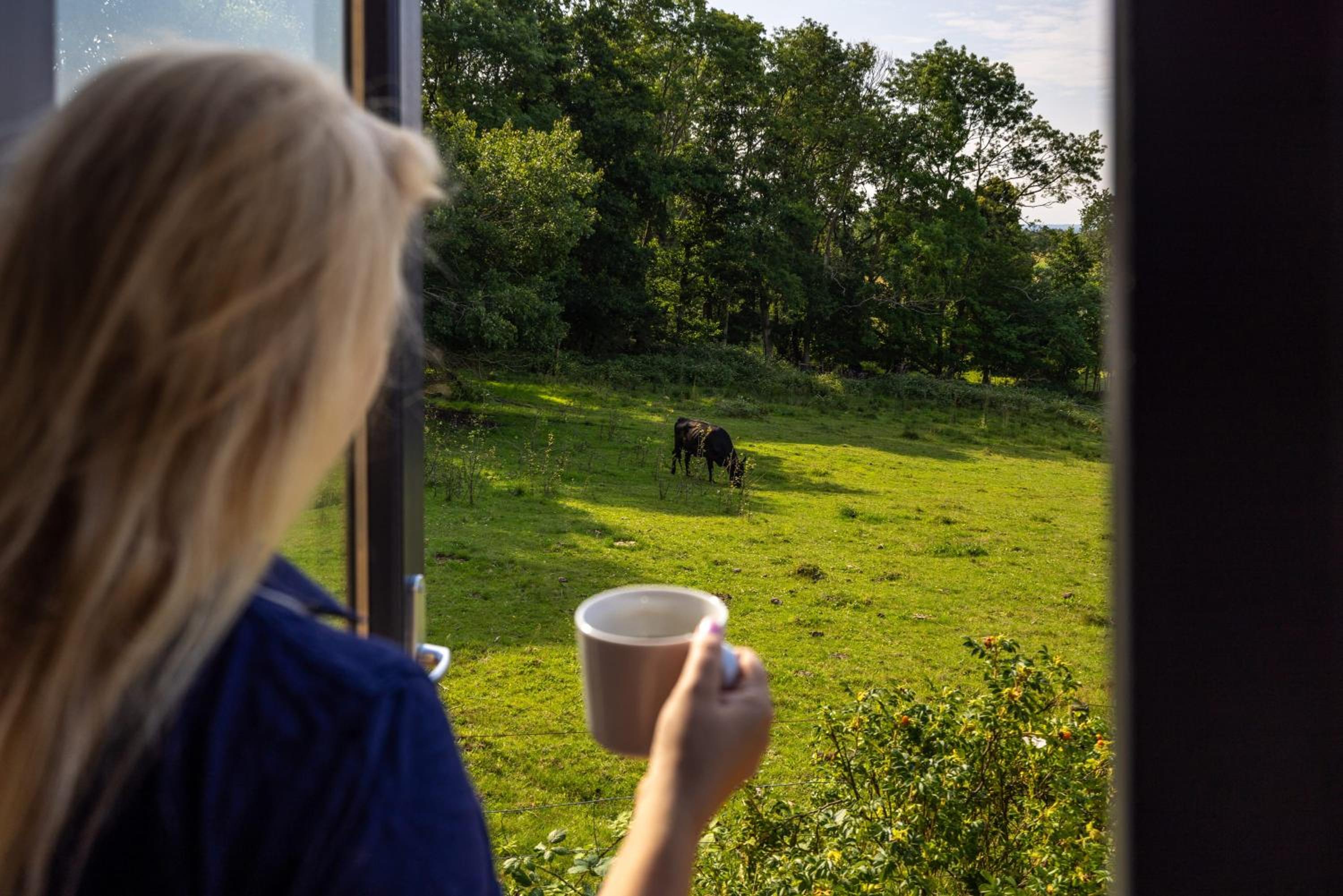 Kullaberg Tiny House by Tiny Away