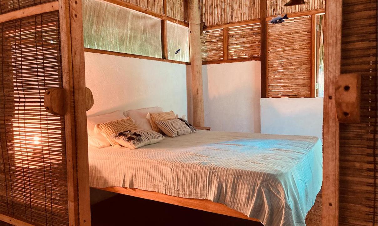 Casa Monos - Playa y piscina