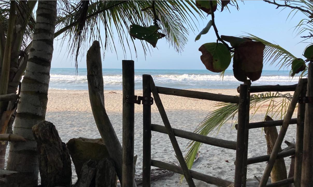 Casa Monos - Playa y piscina