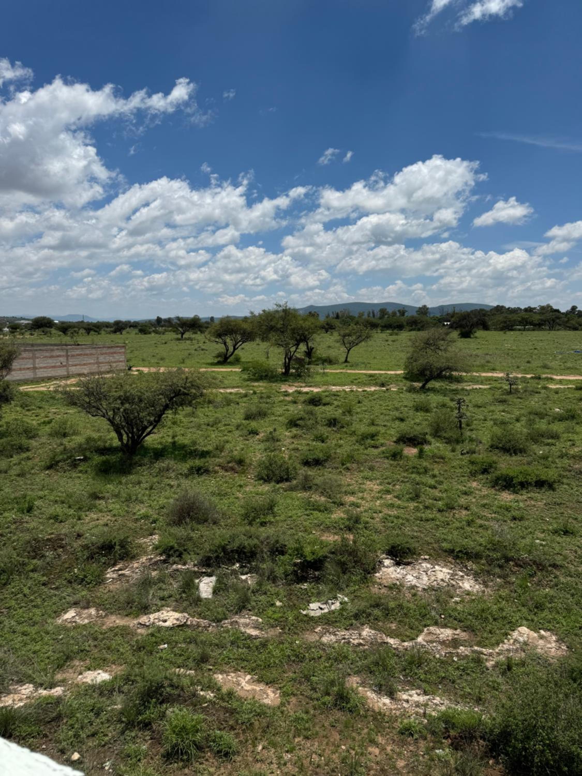 Granja Margarita