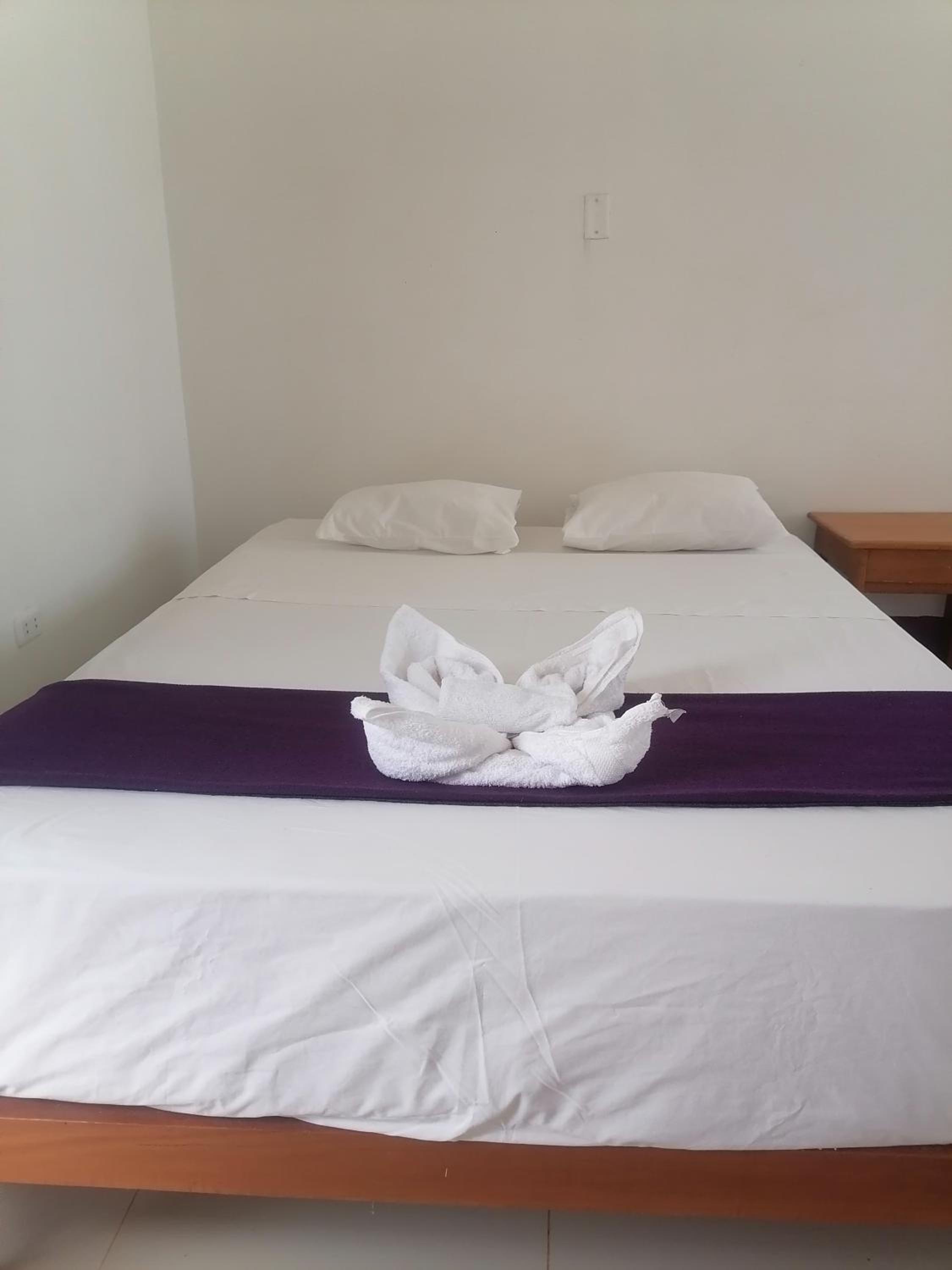 Ayahuasca Hostel