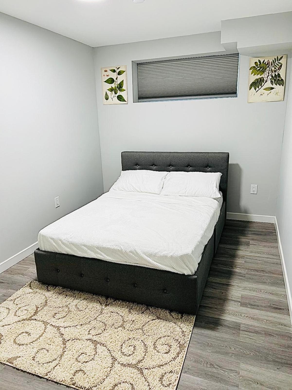 Alex's cozy abode