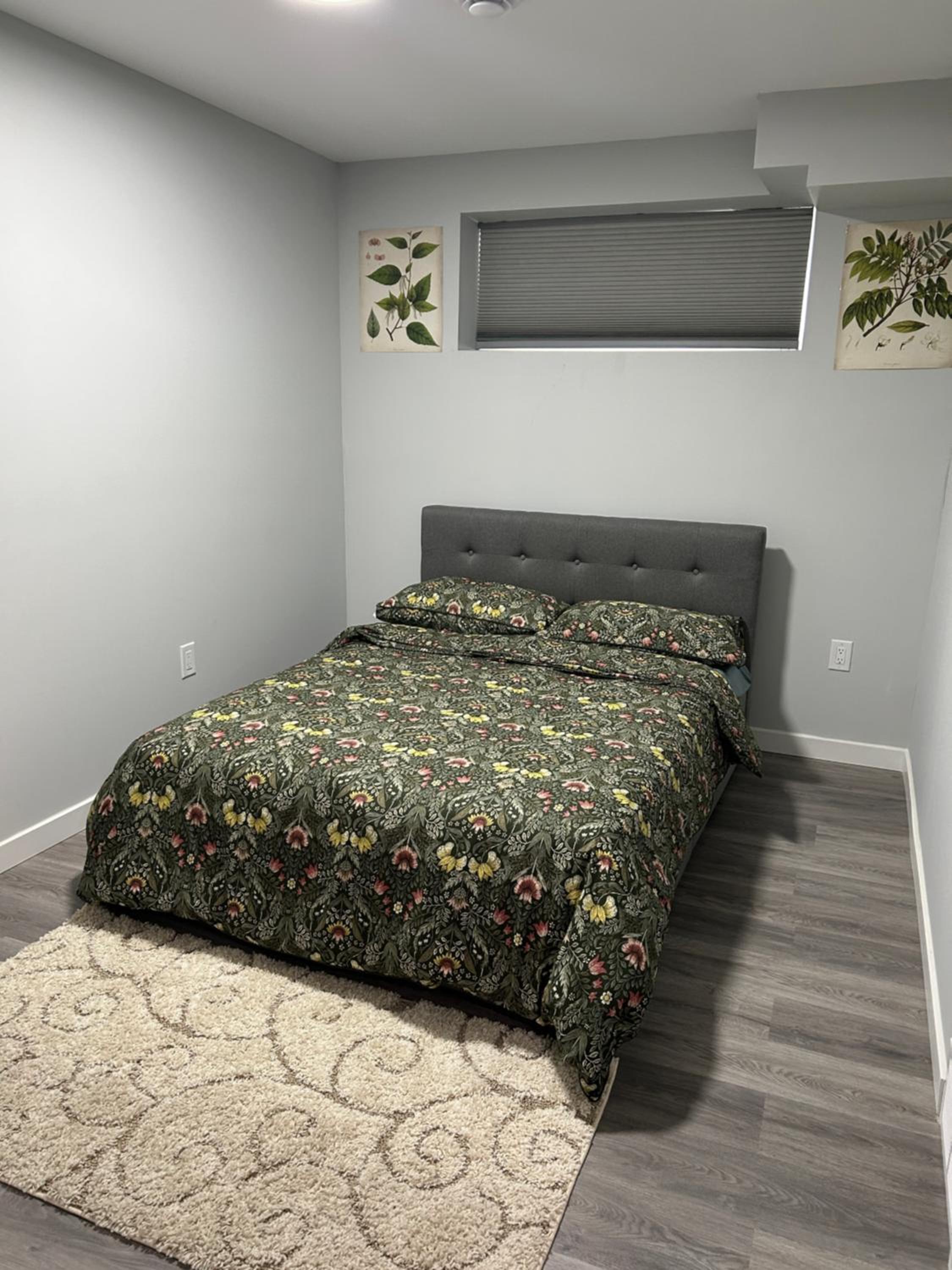 Alex's cozy abode