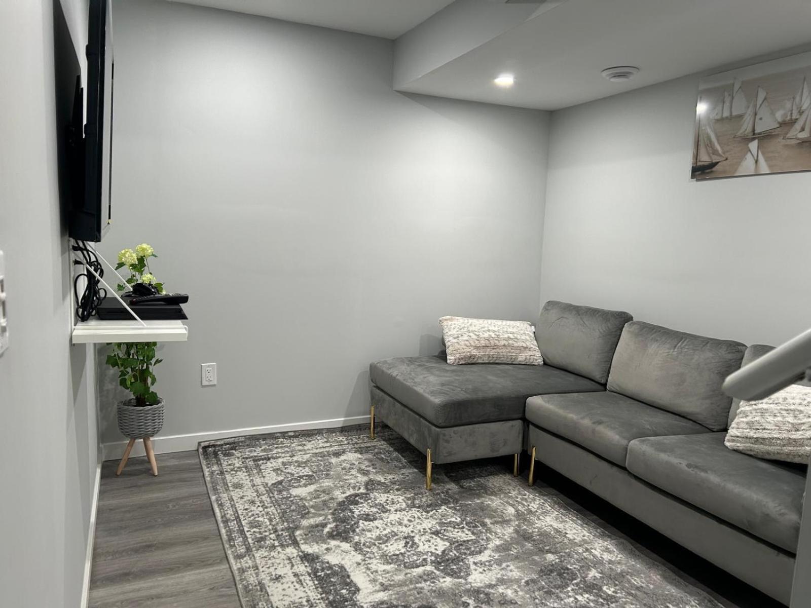 Alex's cozy abode