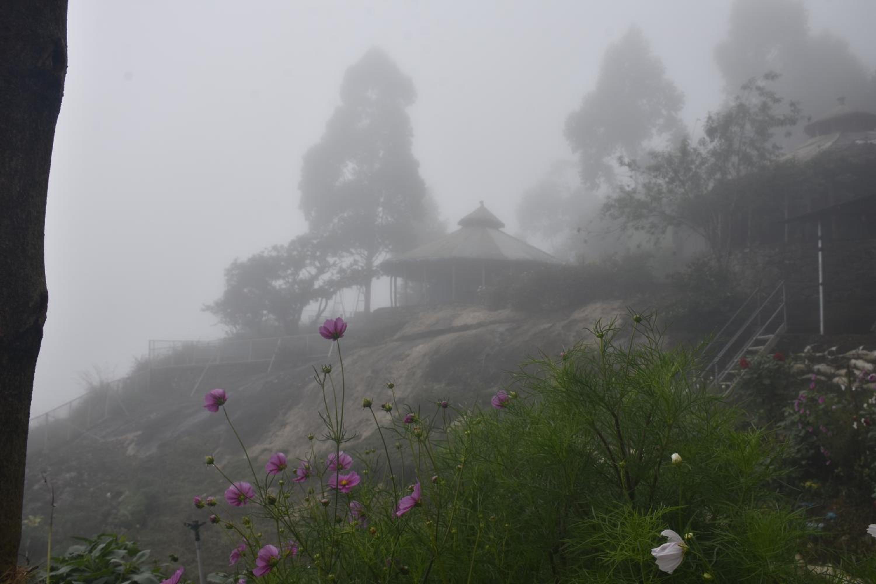 Campper Campwoody Munnar view 5
