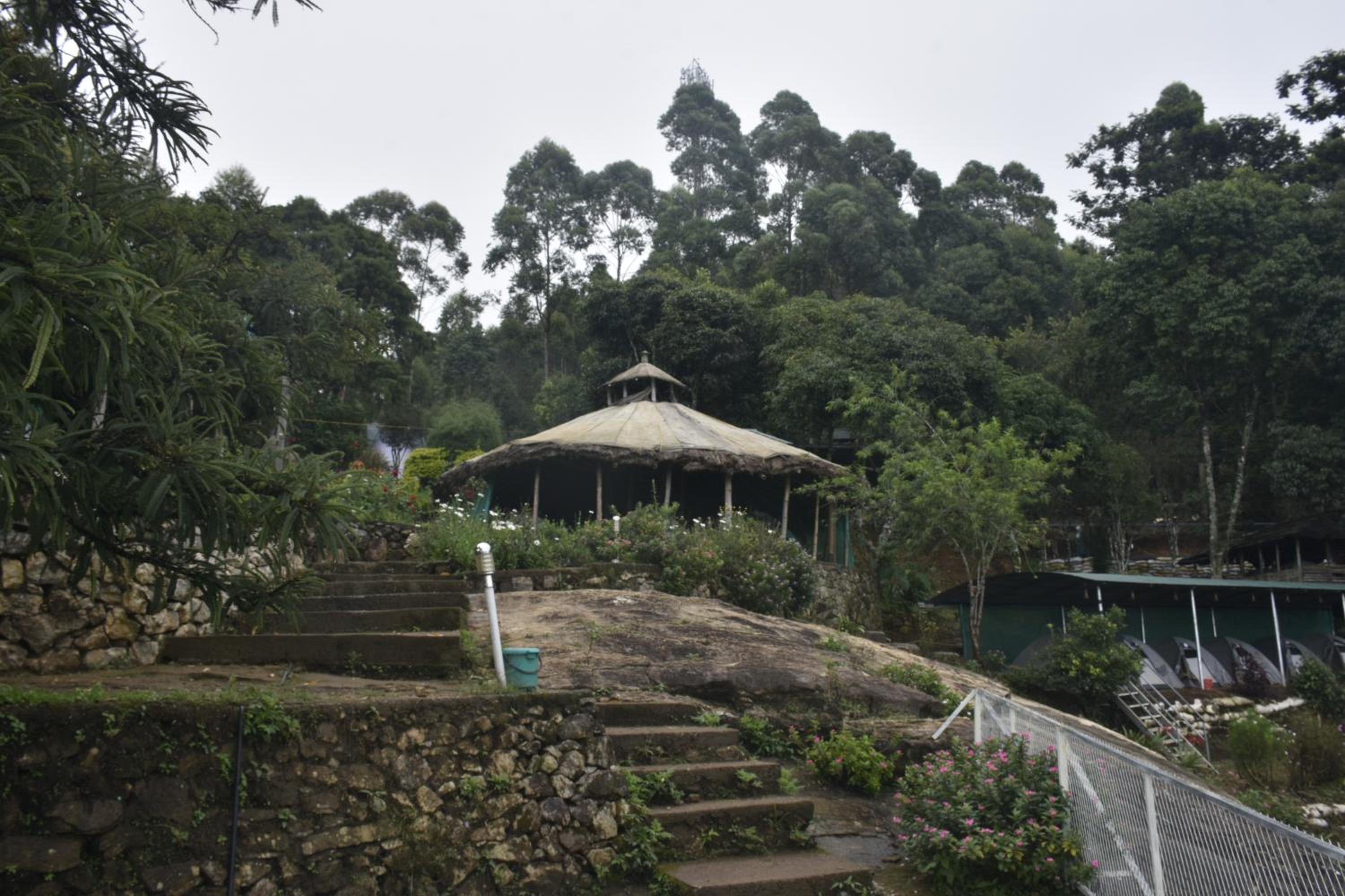 Campper Campwoody Munnar view 3