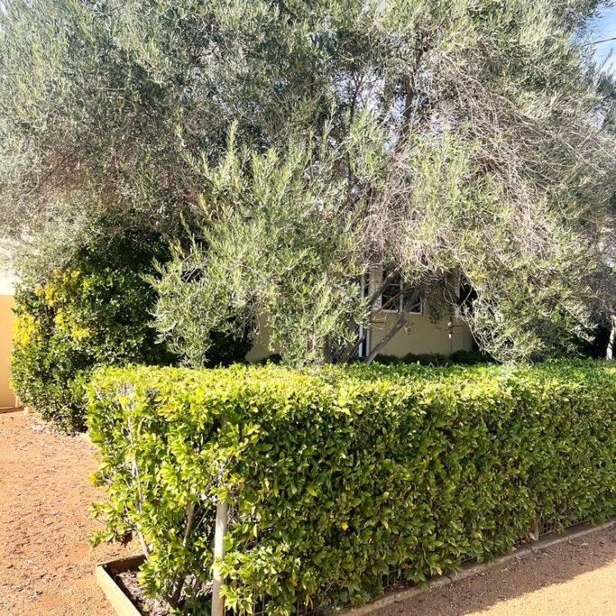 Fitzroy Olive Cottage