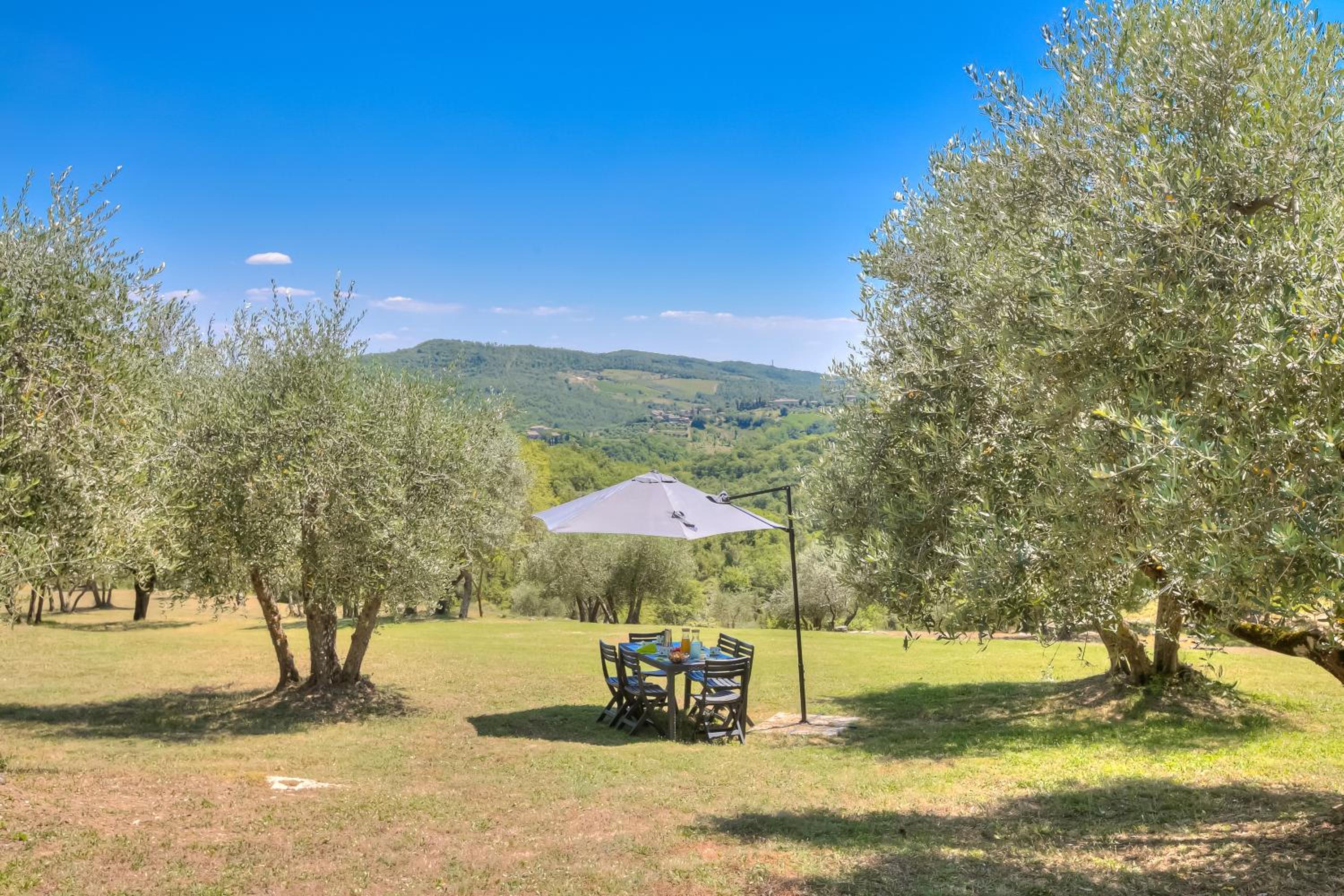 Fiore Di Mandorlo,Panoramic Chianti Hills - Happy Rentals