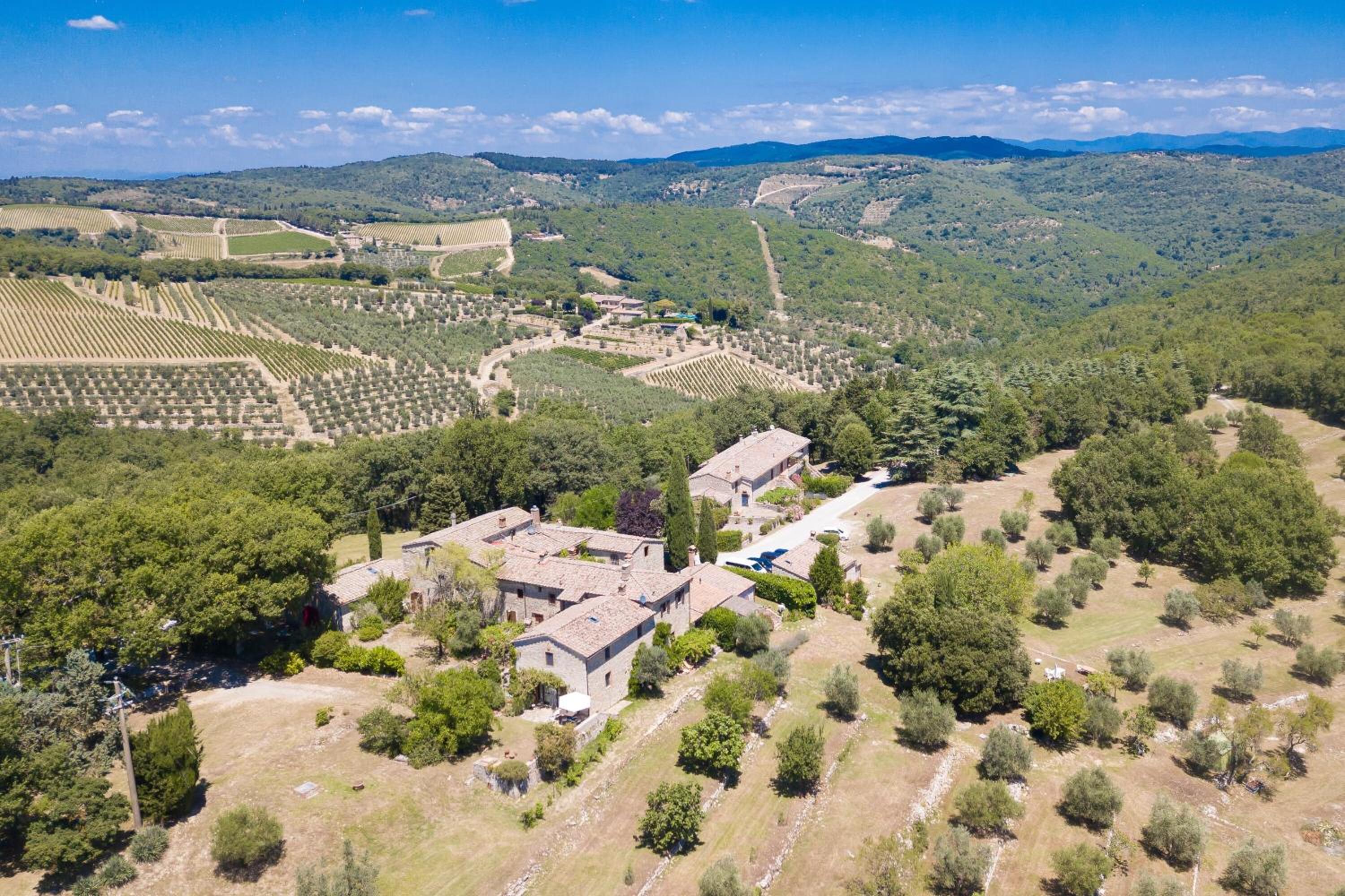 Fiore Di Mandorlo,Panoramic Chianti Hills - Happy Rentals