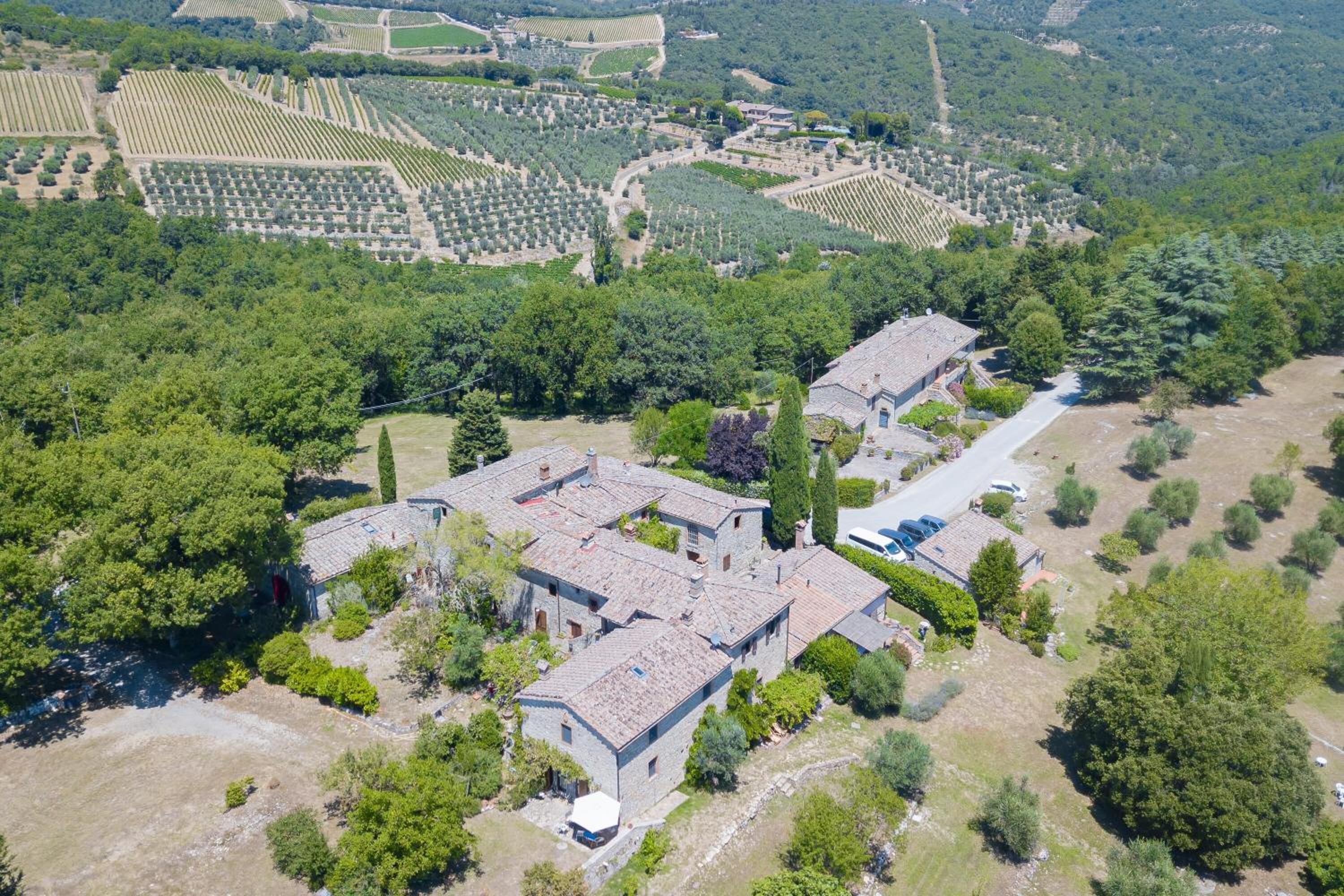 Fiore Di Mandorlo,Panoramic Chianti Hills - Happy Rentals