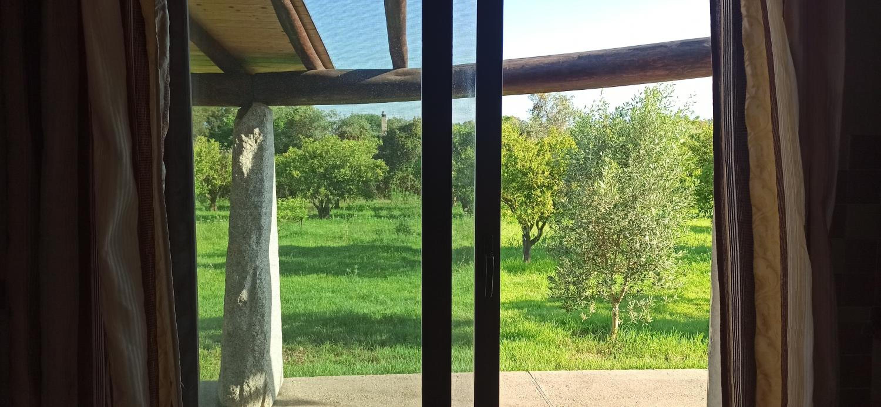 Il Nido del Picchio view 3