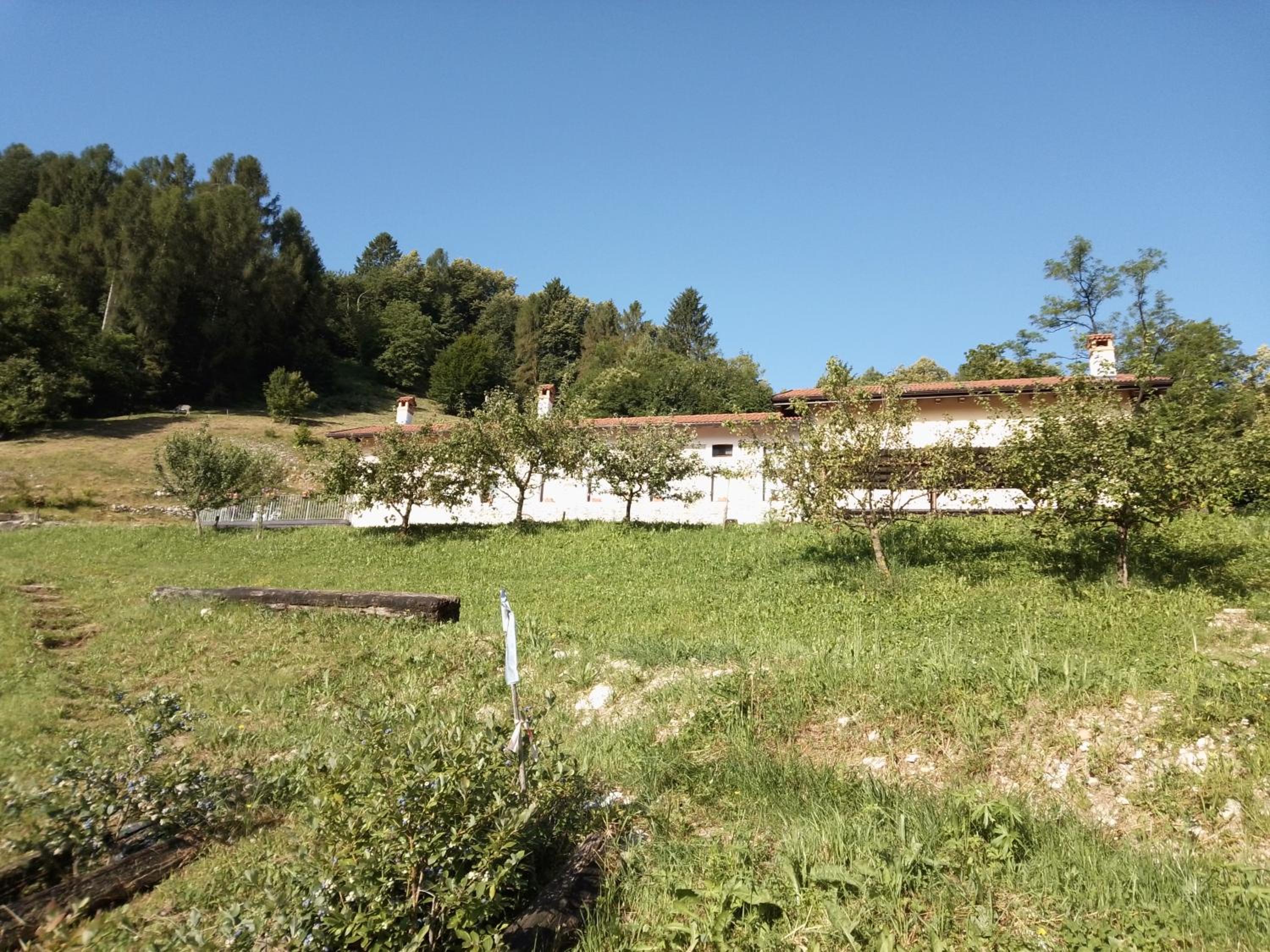 Agriturismo La Casa Nei Boschi view 4