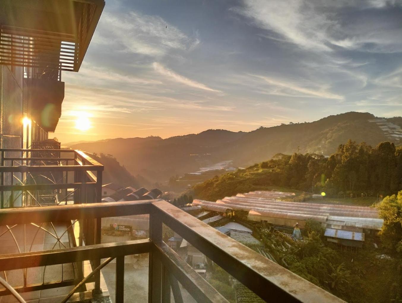 Strawberry Hill- Free Breakfast Opening Promo photo 8