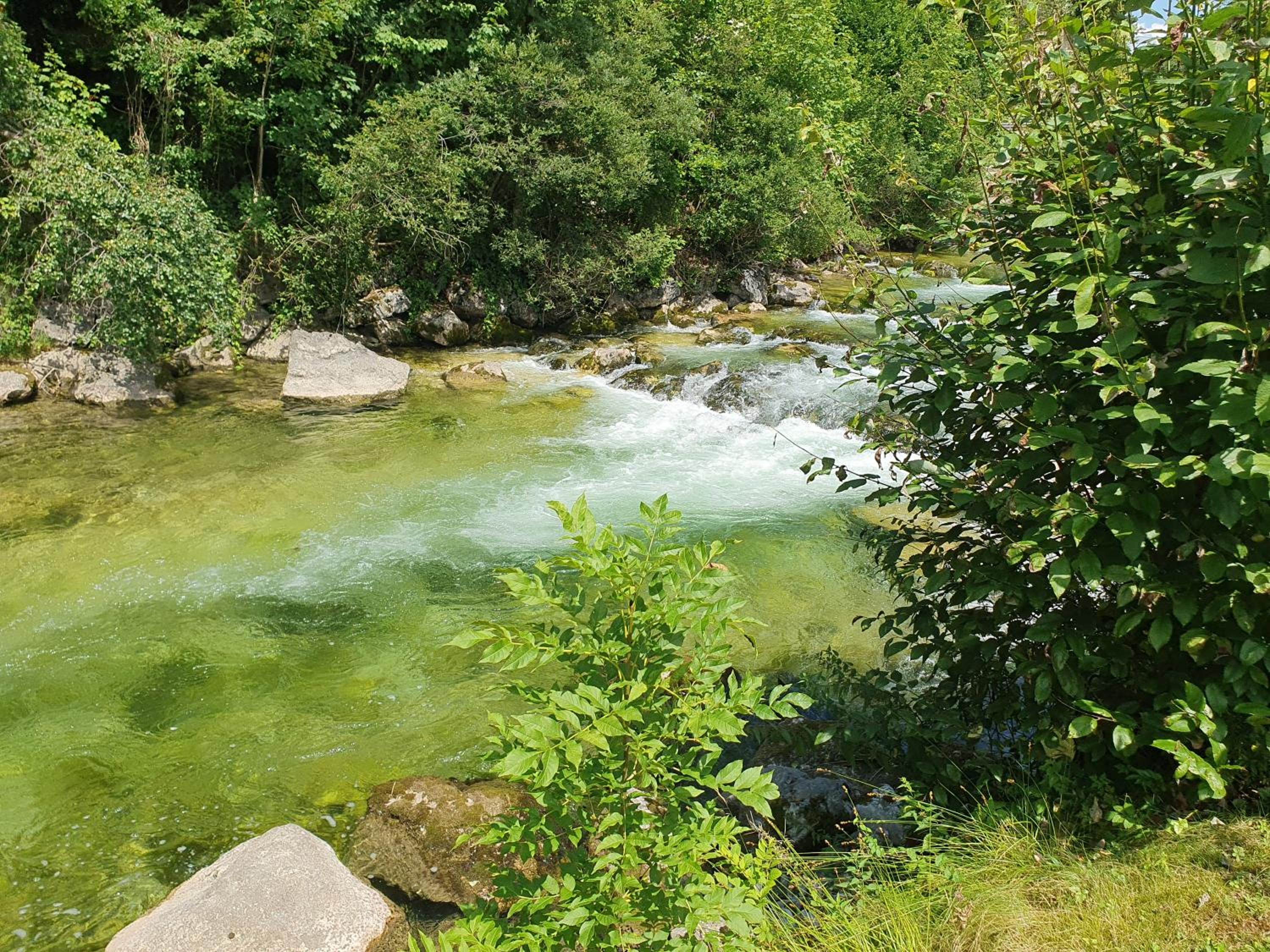 Haus Schatzl Apartments mit Gartenanteil und Bademöglichkeit im Fluss