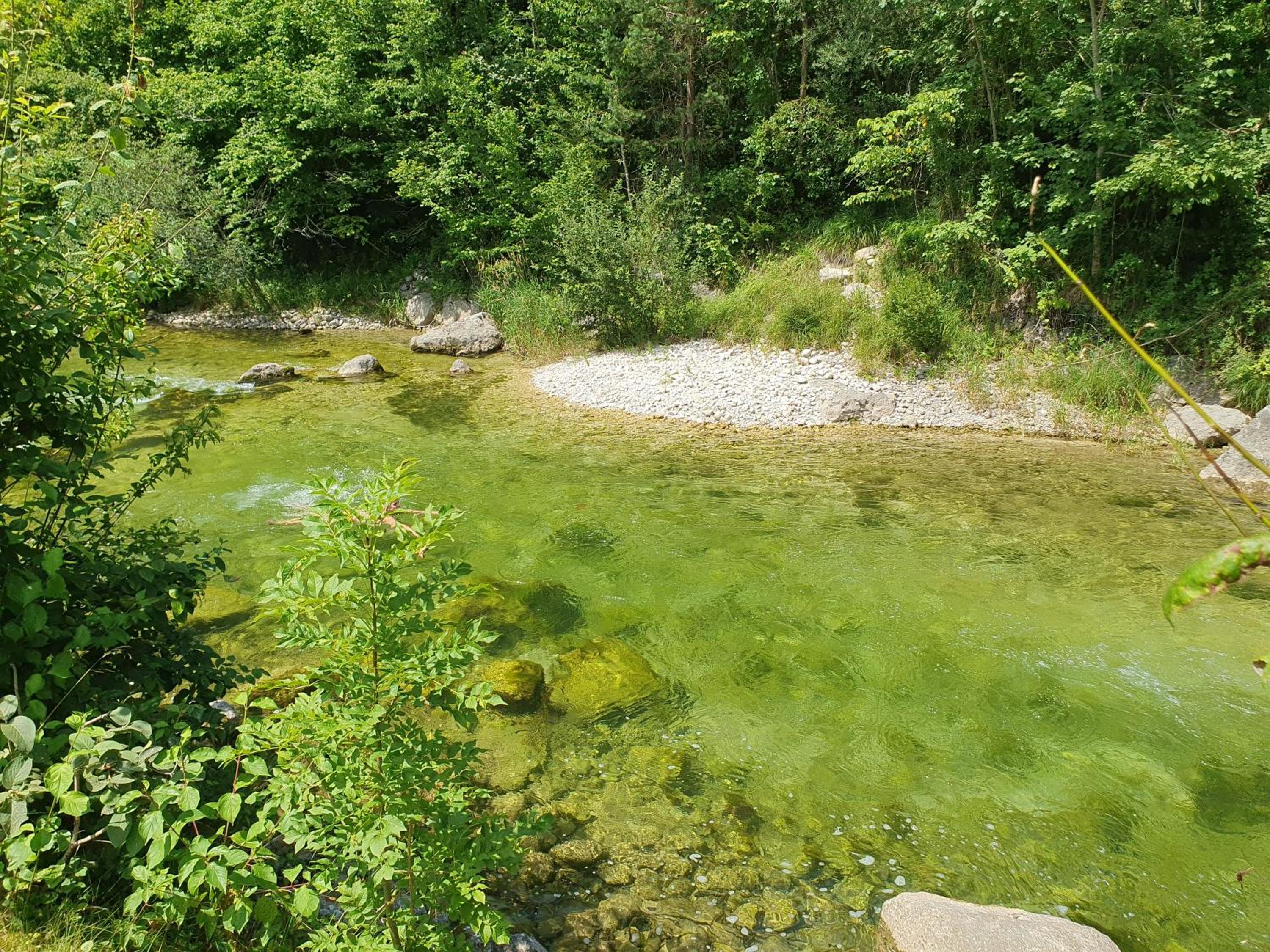 Haus Schatzl Apartments mit Gartenanteil und Bademöglichkeit im Fluss
