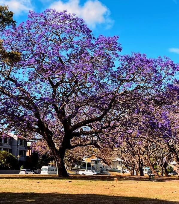 Artistic Queenslander with Park Views - 5 Bedroom - Sleep 10