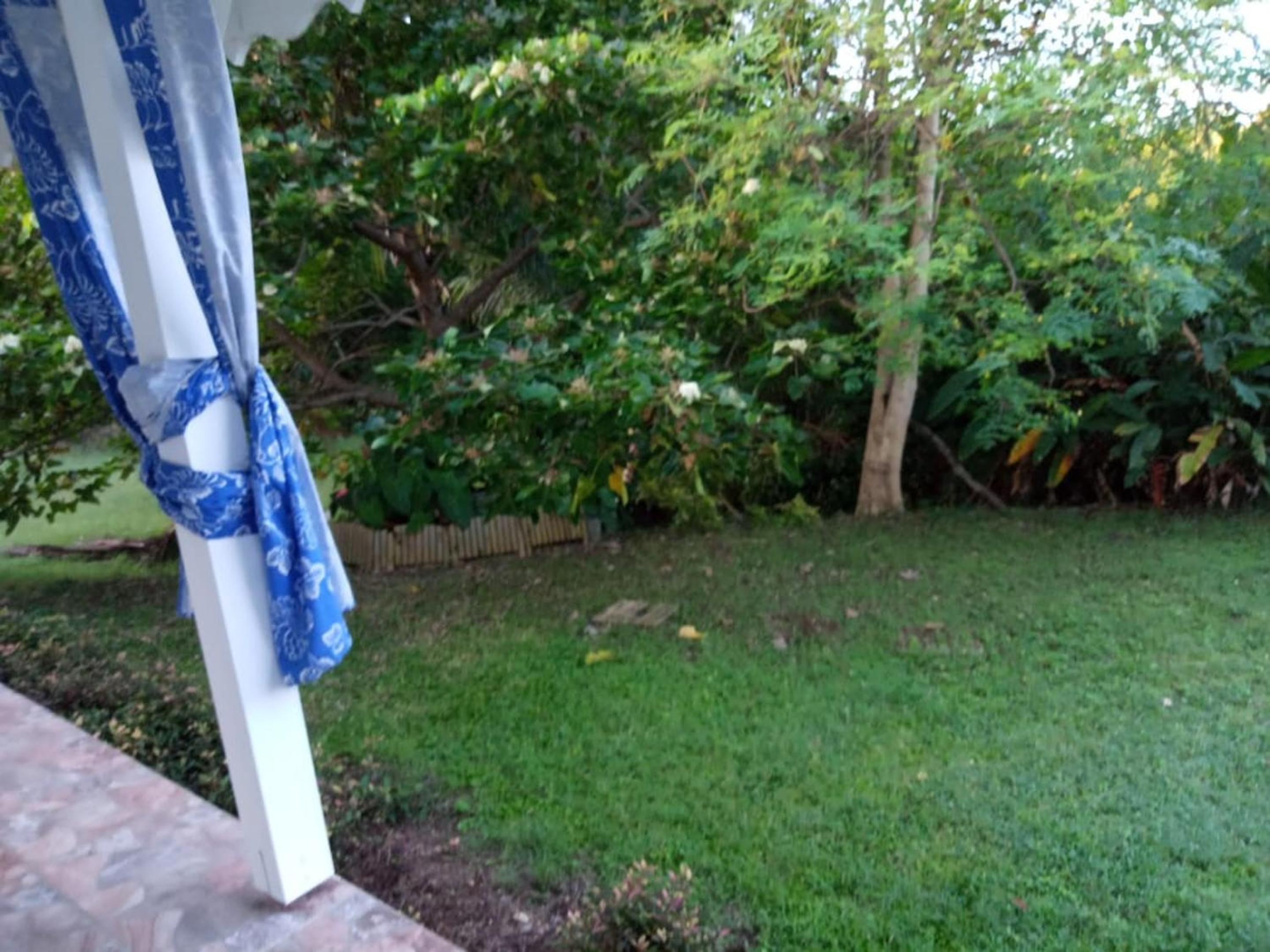 Studio cosy à Sainte Anne, 30 m² avec terrasse jardin paisible view 3