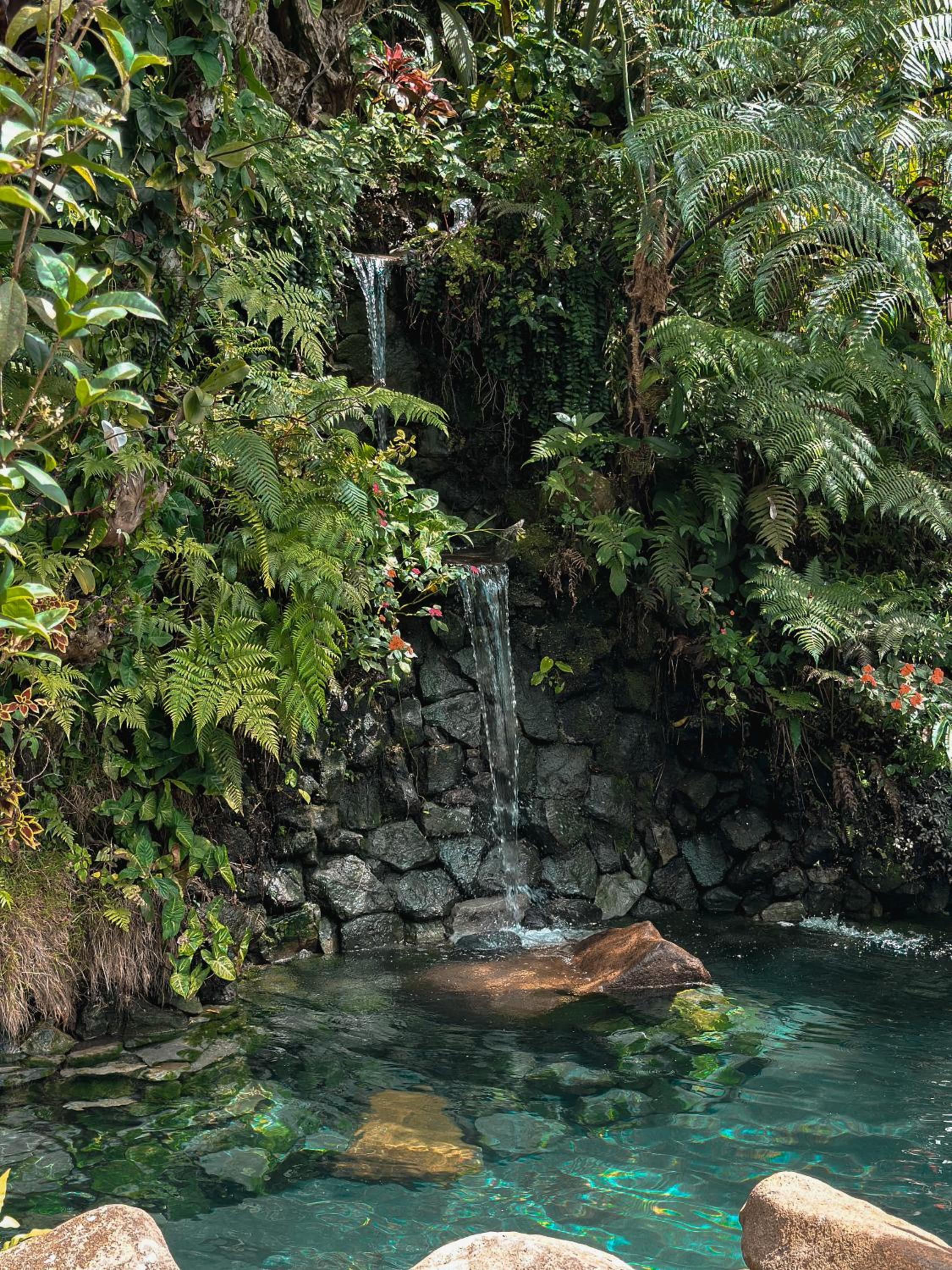 Batak Legacy, A Jungle Hideaway view 3
