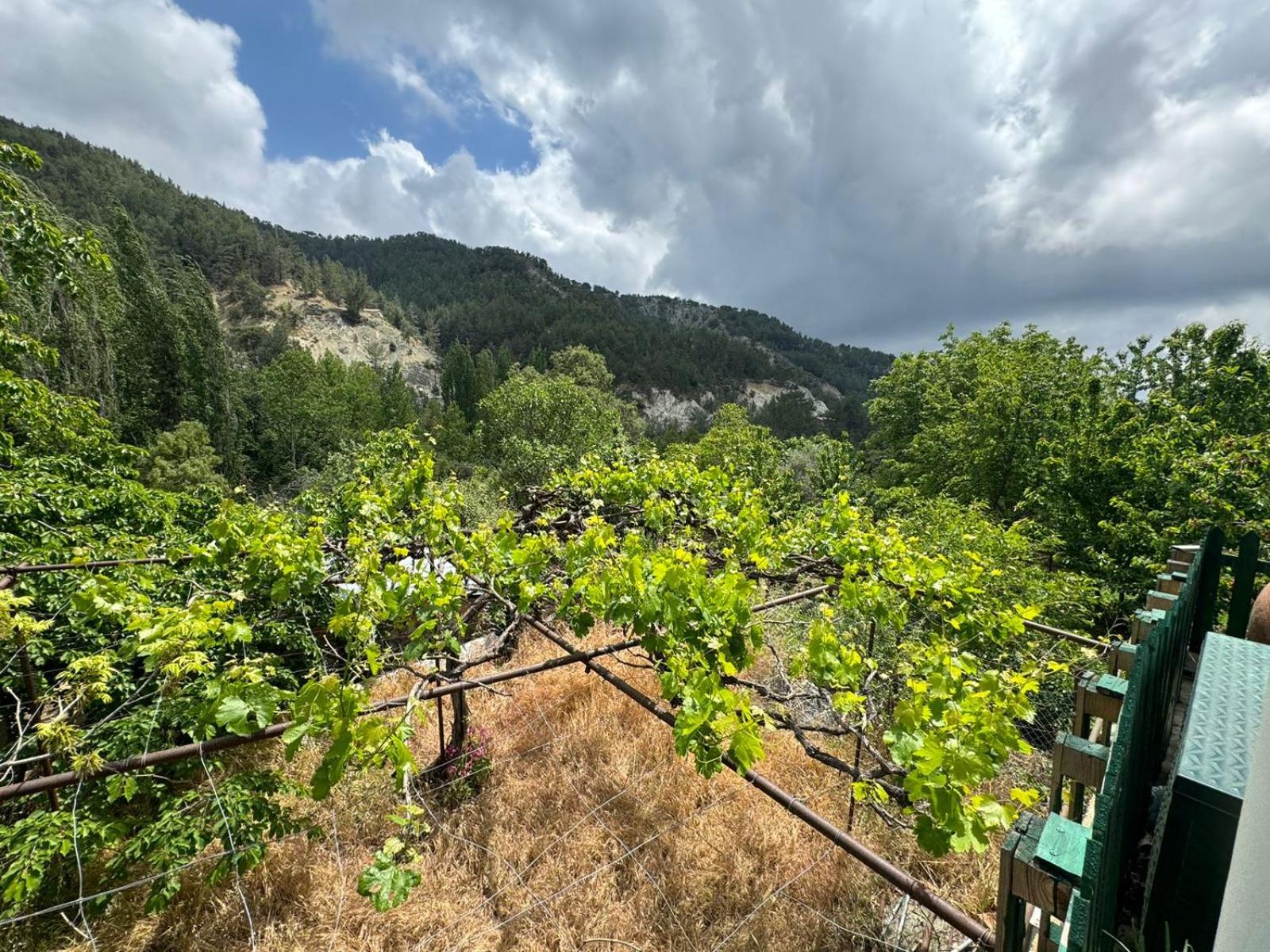Maria's Paliomylos House