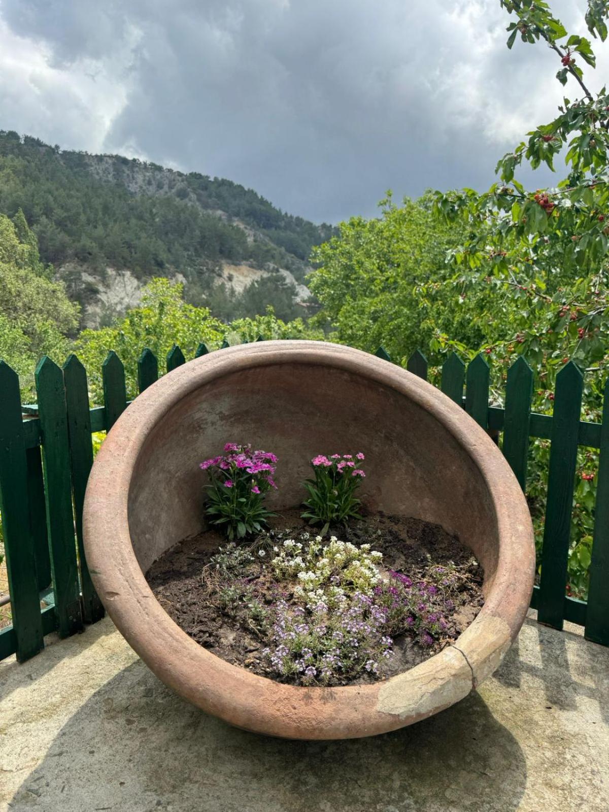 Maria's Paliomylos House