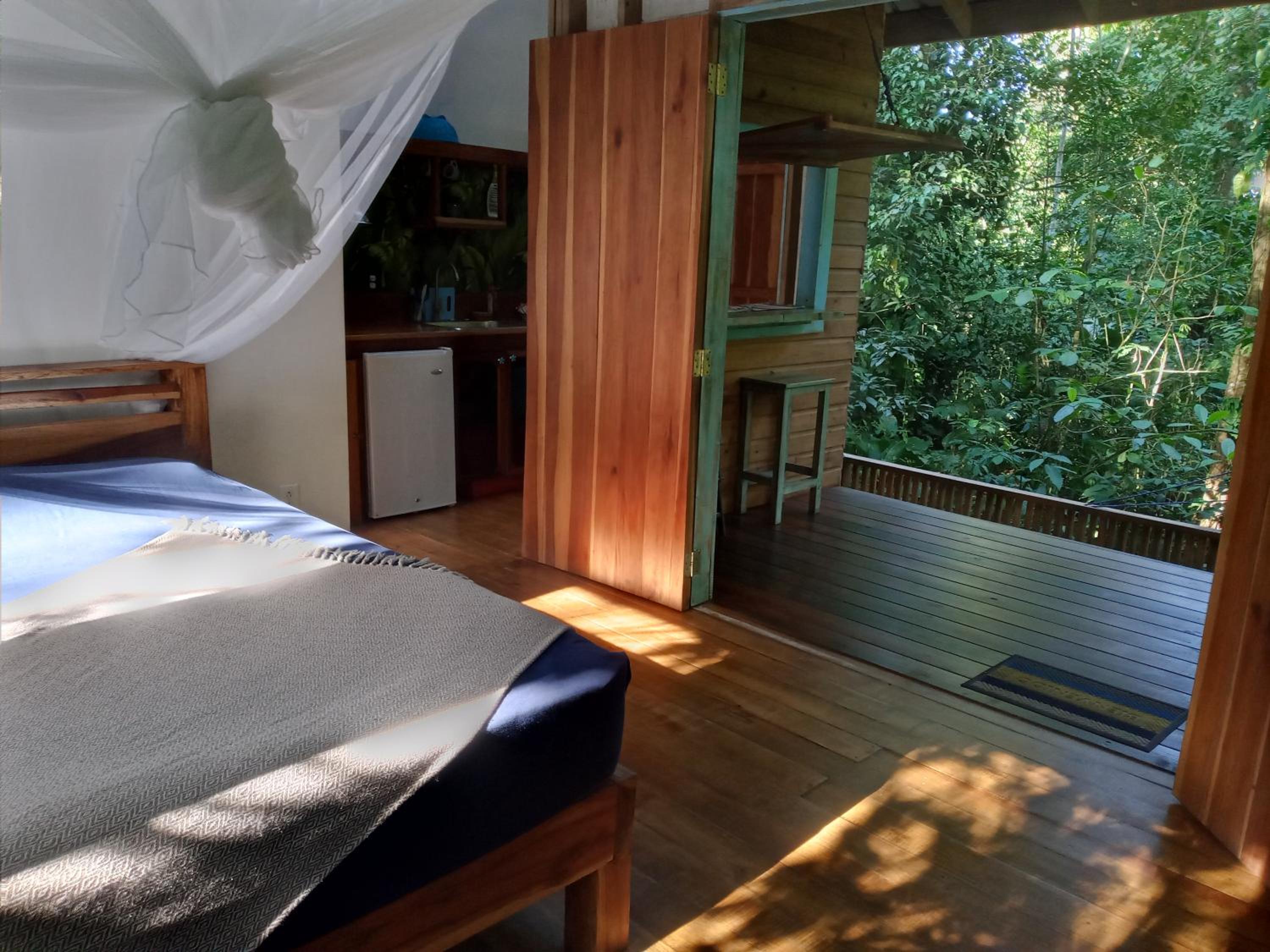 Hotel Jungle Paunch - Image 1