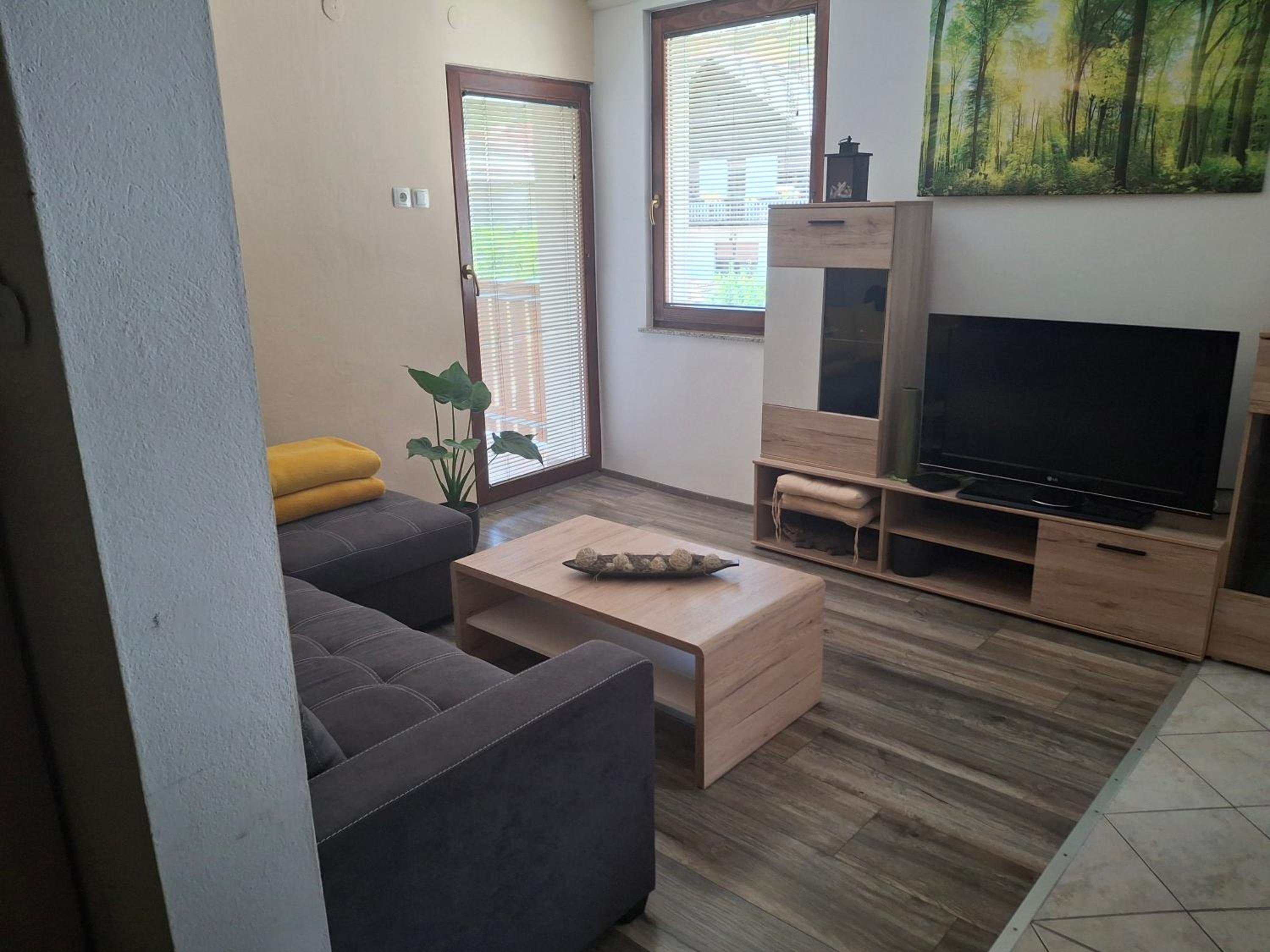 Apartment Veninsek view 2