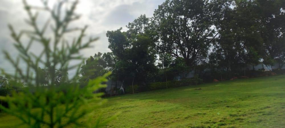 Wonder Resort view 5