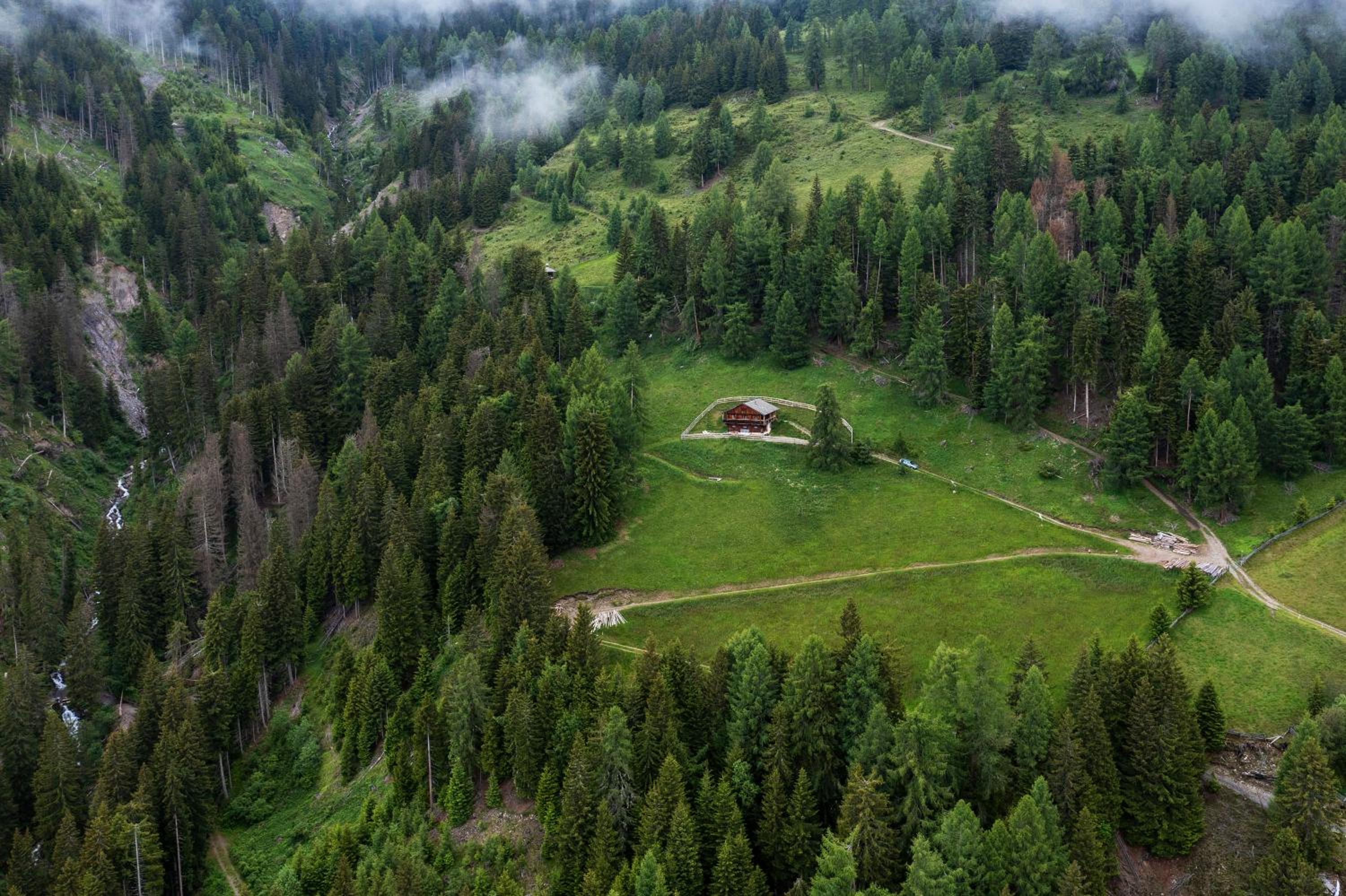 Flasswiesen Alm - ruhige Almhütte in Osttirol