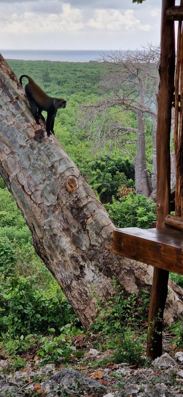MONKEY MOUNTAIN LODGE