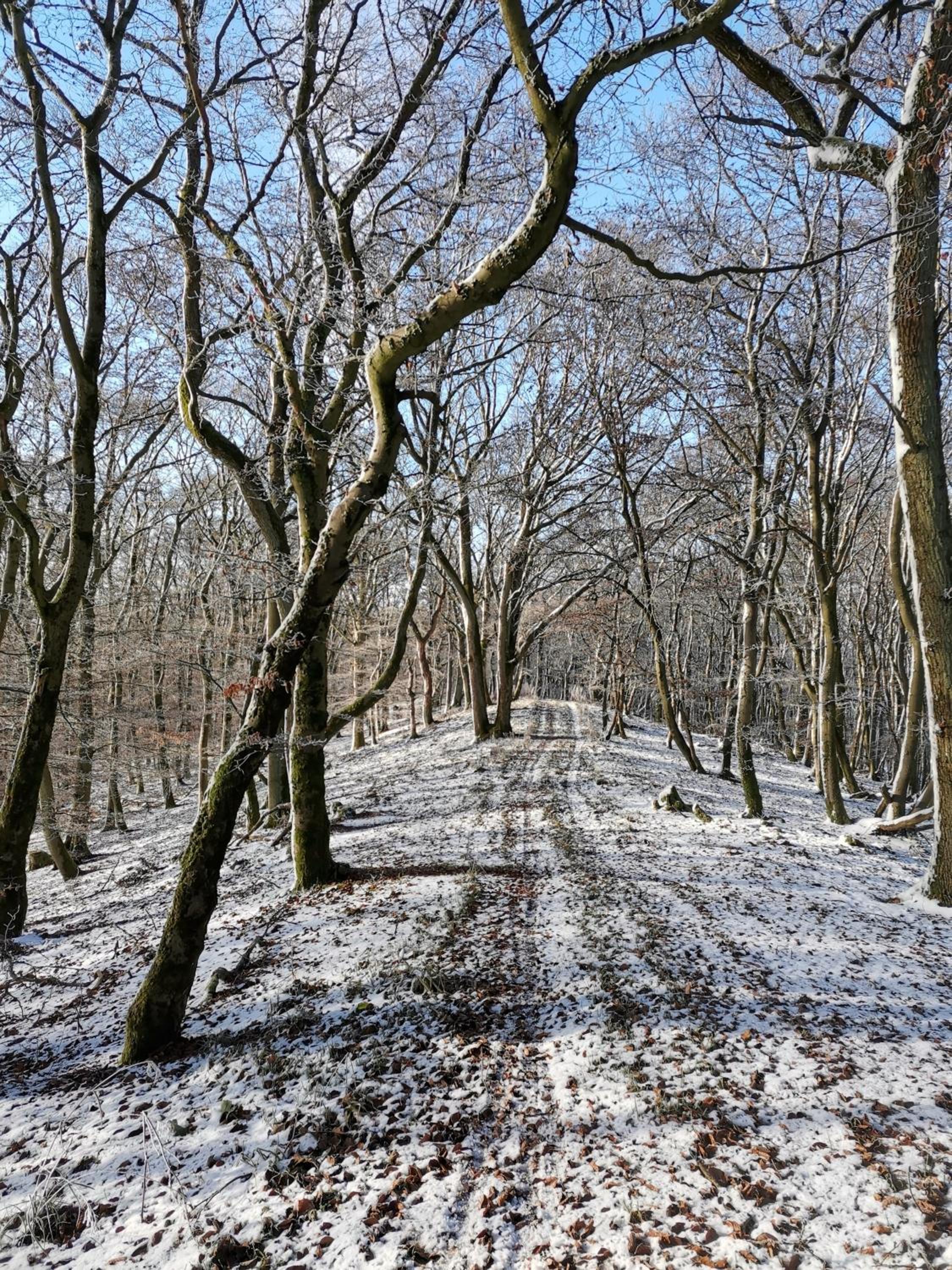 Auszeit-bei-Brandt im Sauerland