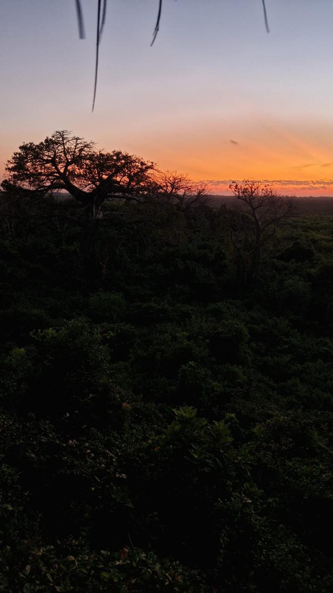 MONKEY MOUNTAIN LODGE