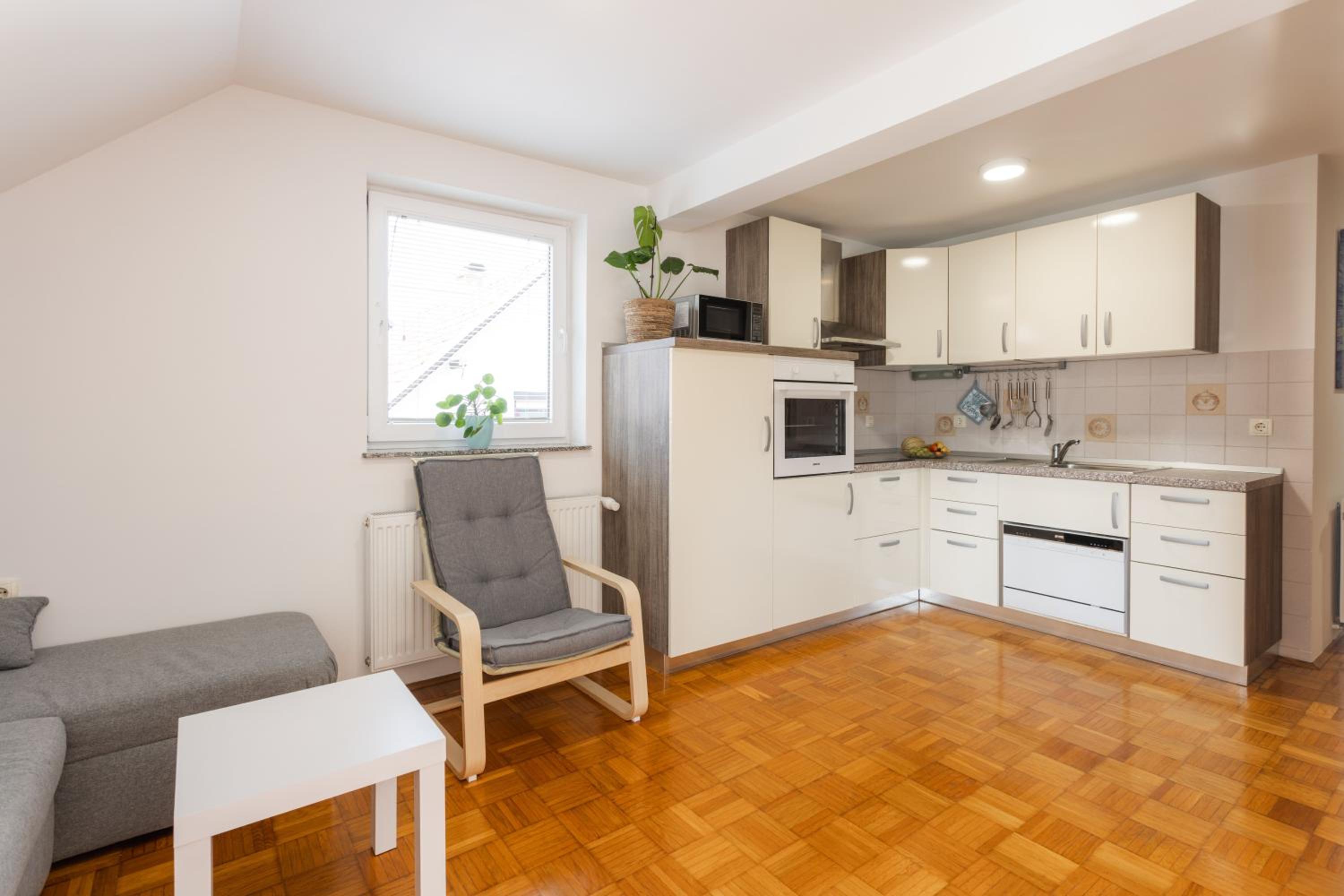 Apartments Leonid